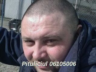 Pituliciul-06105006