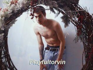 Playfultorvin