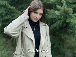 Pollerose