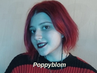 Poppyblom