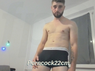 Porncock22cm
