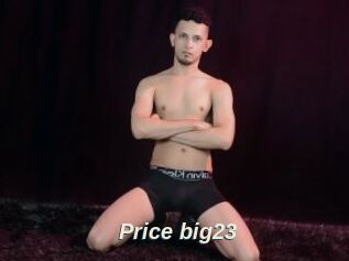 Price_big23