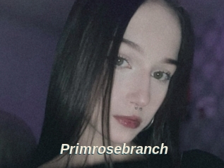 Primrosebranch