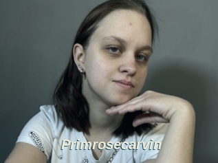 Primrosecarvin
