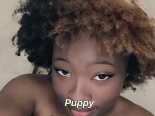 Puppy