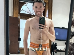 Pupstud