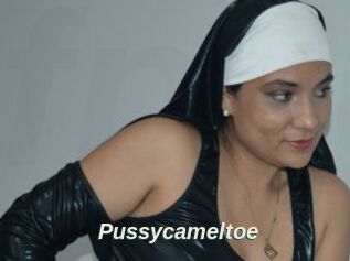 Pussycameltoe