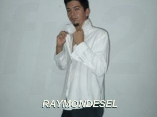 RAYMONDESEL