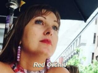Red_Orchid