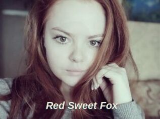 Red_Sweet_Fox