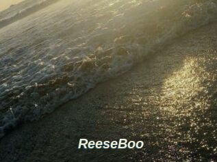 ReeseBoo
