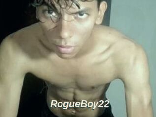 RogueBoy22