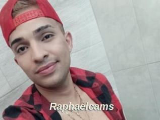 Raphaelcams