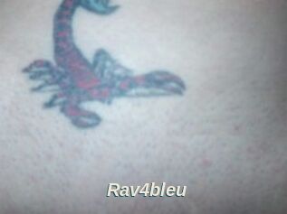 Rav4bleu