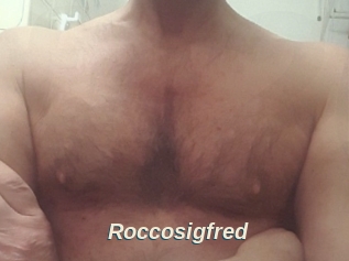 Roccosigfred