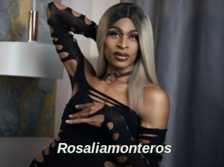 Rosaliamonteros