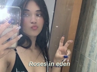 Roses_in_eden