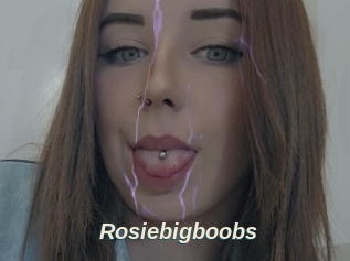Rosiebigboobs