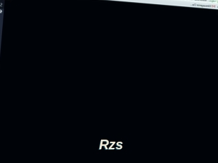 Rzs