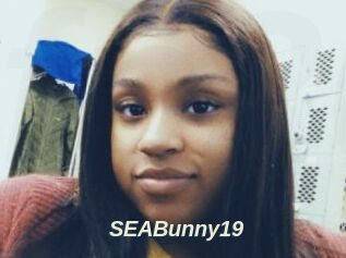 SEABunny19