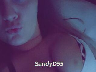 SandyD55