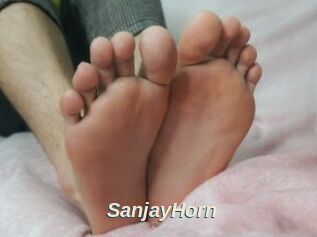 SanjayHorn