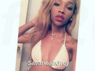 Savannah_Grey