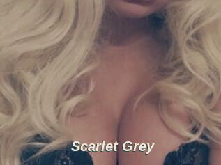 Scarlet_Grey