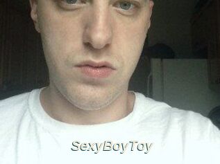 SexyBoyToy