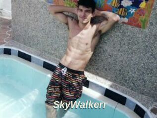 SkyWalkerr