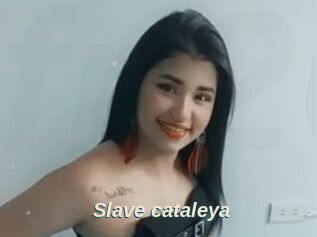 Slave_cataleya