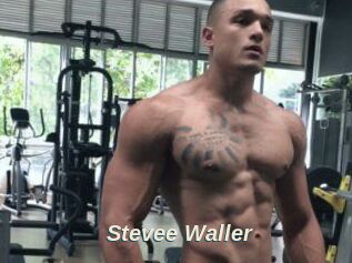 Stevee_Waller