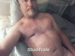 Stud4sale