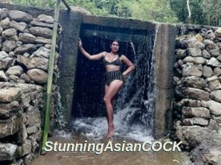 StunningAsianCOCK