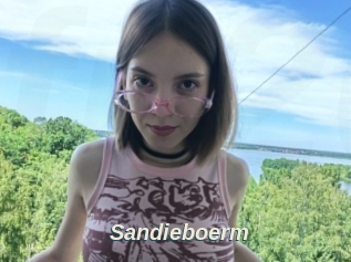 Sandieboerm