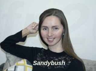 Sandybush