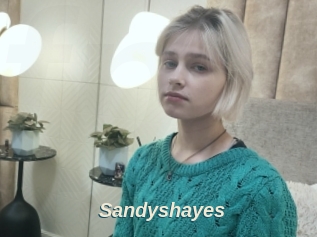 Sandyshayes