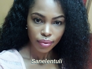 Sanelentuli