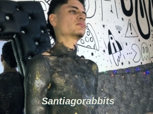 Santiagorabbits