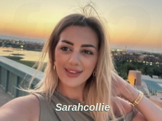 Sarahcollie