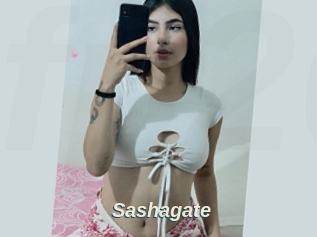 Sashagate