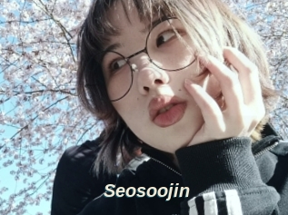Seosoojin