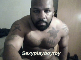 Sexyplayboytoy