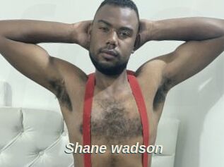 Shane_wadson