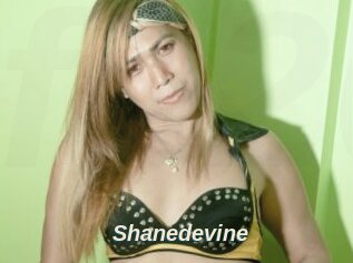Shanedevine