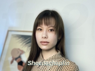 Sheenachaplin