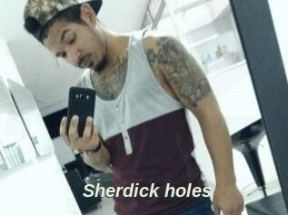 Sherdick_holes
