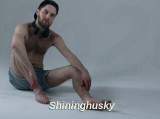 Shininghusky