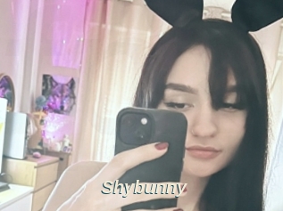 Shybunny