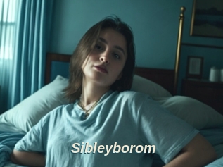 Sibleyborom
